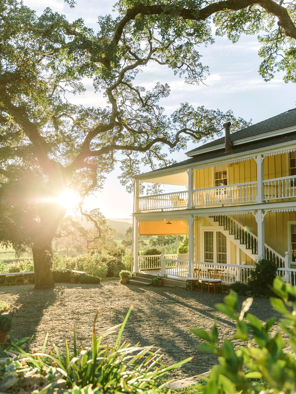 Wine Country wedding charms guests at rustic Beltane Ranch